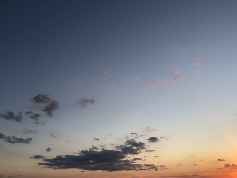 Header of threeheadedsnake