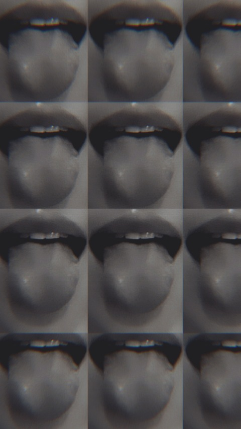 Header of toykitty215