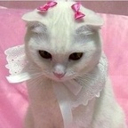 Onlyfans leaked trash_bby 

 profile picture