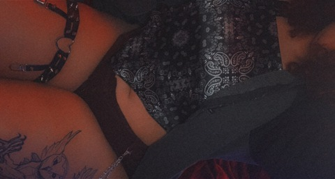 Header of trixytreats