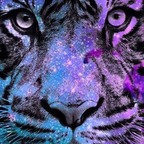 Free access to (@twilightlady) Leaks OnlyFans 

 profile picture