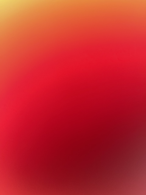 Header of u169997887