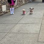 Download u175932131 OnlyFans leaks for free 

 profile picture