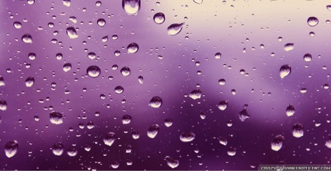 Header of u177603699