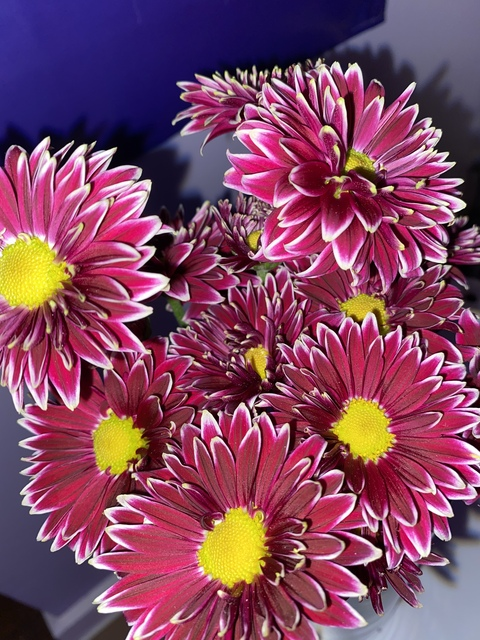 Header of u178099997