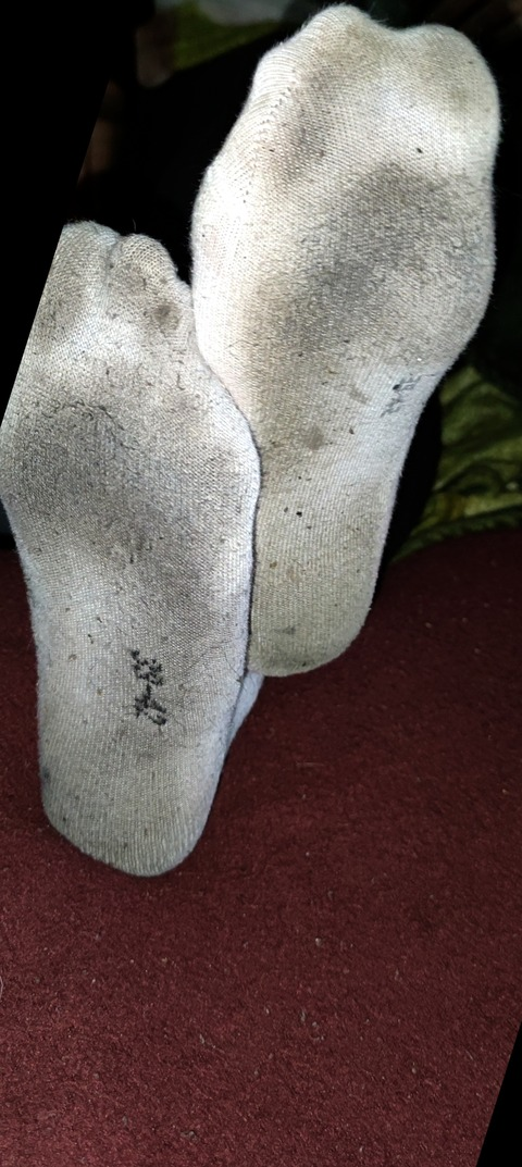 Header of u276875475