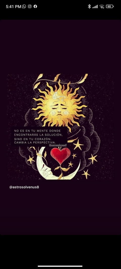 Header of u281569669