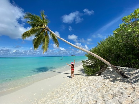 Header of u326169640