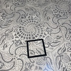 Download u75050096 OnlyFans content for free 

 profile picture