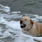 val.m OnlyFans Leaks 

 profile picture