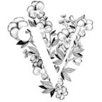 Free access to (@vanessa2) Leaked OnlyFans 

 profile picture