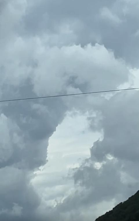 Header of vegan_goddess