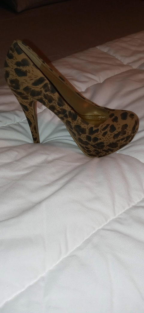 Header of veronicastaxx