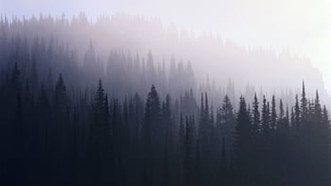 Header of wednesday-addams