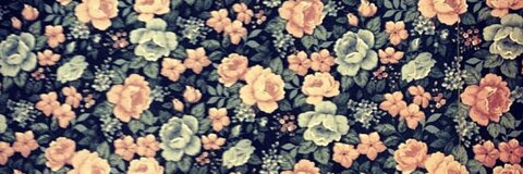 Header of willowjade