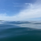 xemmyxx OnlyFans Leaked 

 profile picture