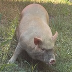 Free access to (yugrac1) Leaks OnlyFans 

 profile picture