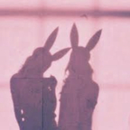 Download yummymummys OnlyFans content for free 

 profile picture